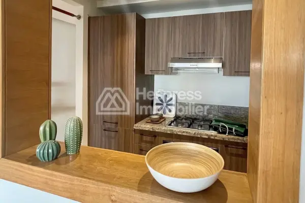 Beautiful modern studio with terrace for rent Racine