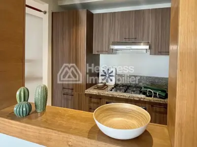 Beautiful modern studio with terrace for rent Racine