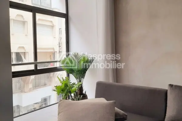 Modern 2-suite apartment in Plein Racine for rent