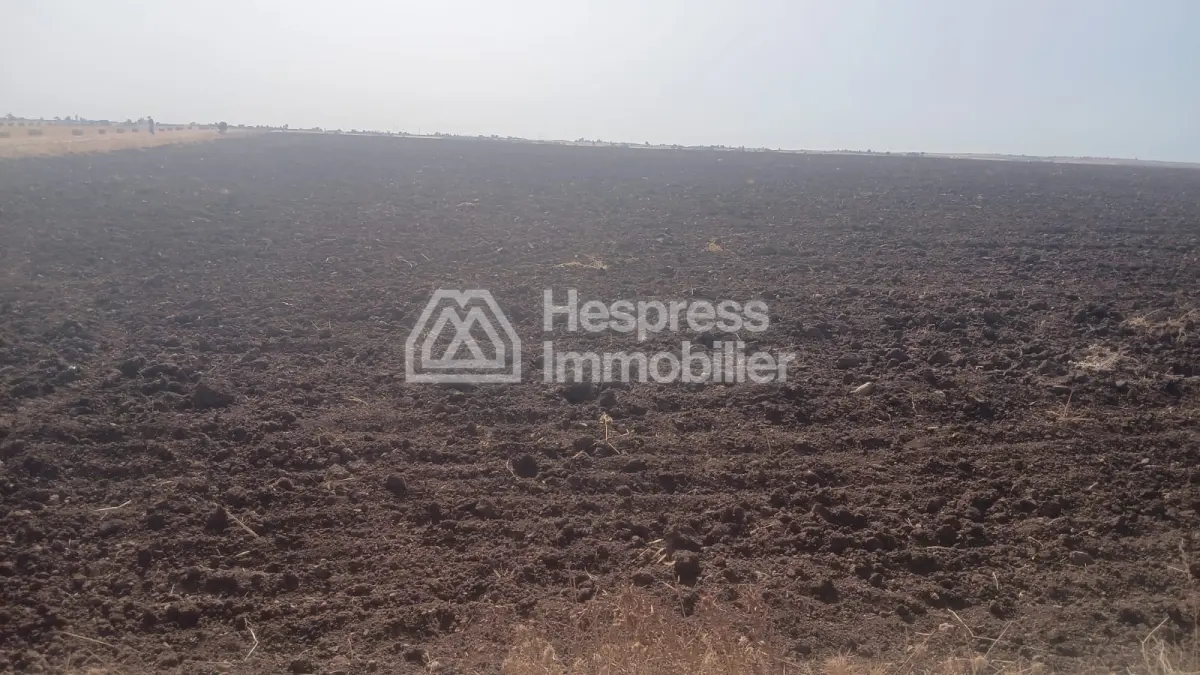 Land for sale - Ben Ahmed