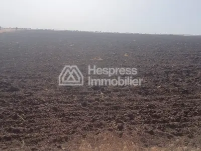 Land for sale - Ben Ahmed
