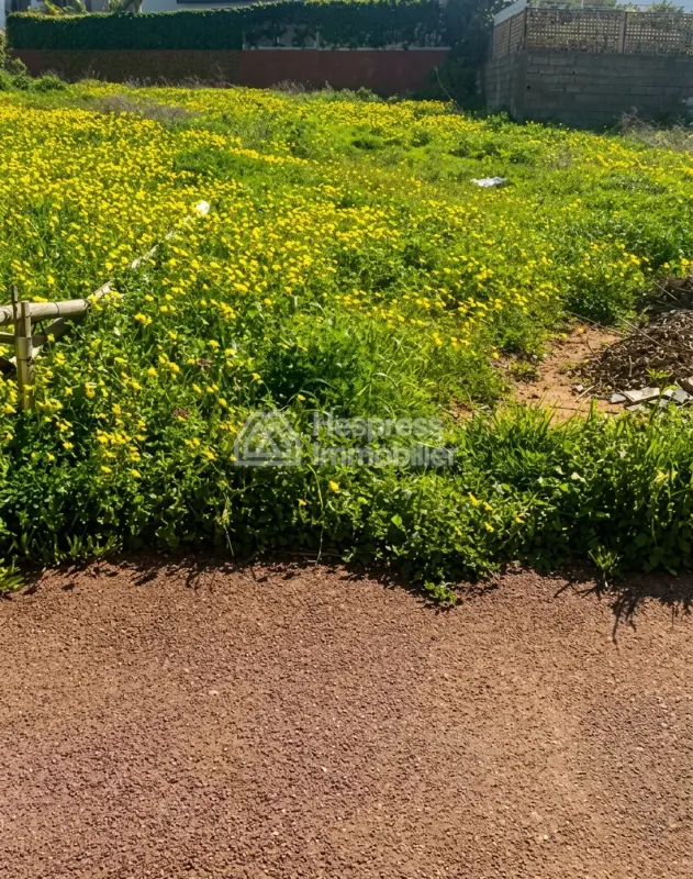 Plot of Land for Villa – Hay Riad, Sector 14