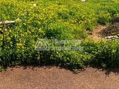 Plot of Land for Villa – Hay Riad, Sector 14