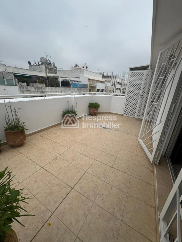 Beautiful apartment with terrace for rent