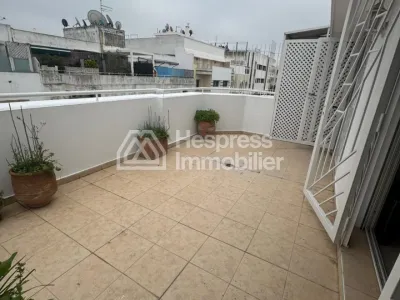 Beautiful apartment with terrace for rent