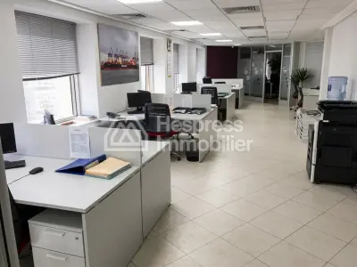 Bureau professionnel à louer – bd mohamed Smiha