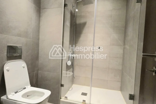 Appartement à louer 1 ch meublé Orangeraie