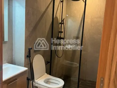 Studio meublé à louer – Quartier des Hôpitaux