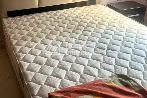 Appartement Meublé Quartier des hôpitaux