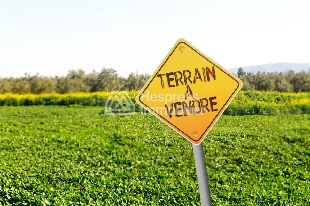 Terrain à vendre – Nakhil Almaz Façade