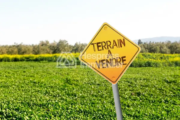 Terrain à vendre – Nakhil Almaz Façade