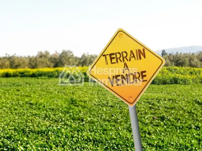 Terrain à vendre – Nakhil Almaz Façade