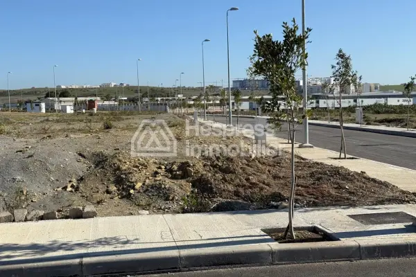 Land for sale, title deed in the Issa subdivision