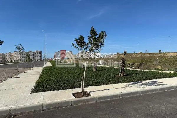 Land for sale, title deed in the Issa subdivision