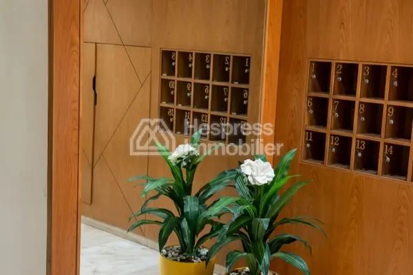 Studio meublé à belvéder pour location