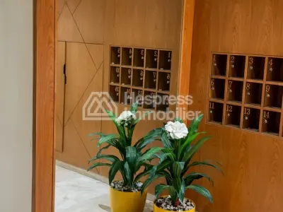 Studio meublé à belvéder pour location