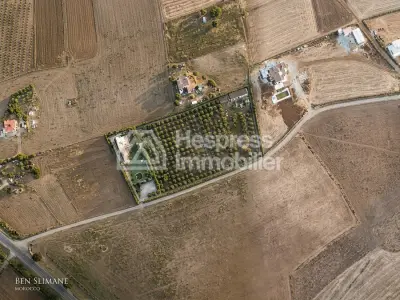 Charming farmhouse for sale – Benslimane