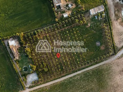 Charming farmhouse for sale – Benslimane