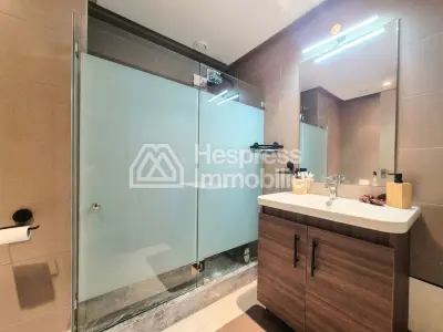 Furnished Studio with Terrace (CFC)