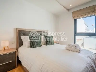Furnished Studio Palmier