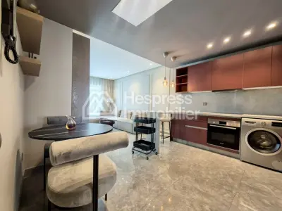Furnished Studio with Terrace, Breton Farmhouse
