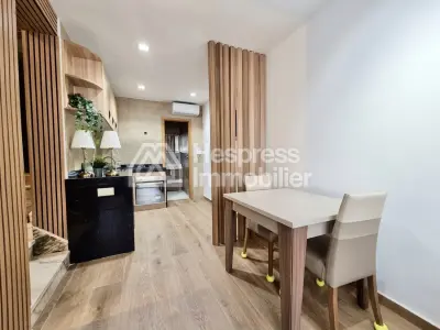 New Furnished Studio Gauthier