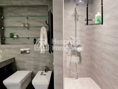 Furnished Apartment Gauthier