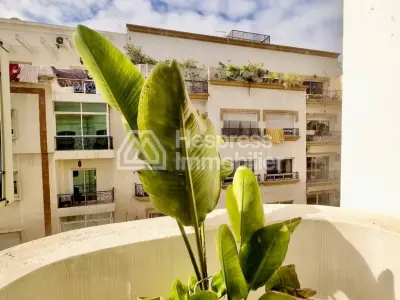 Appartement Meublé Racine