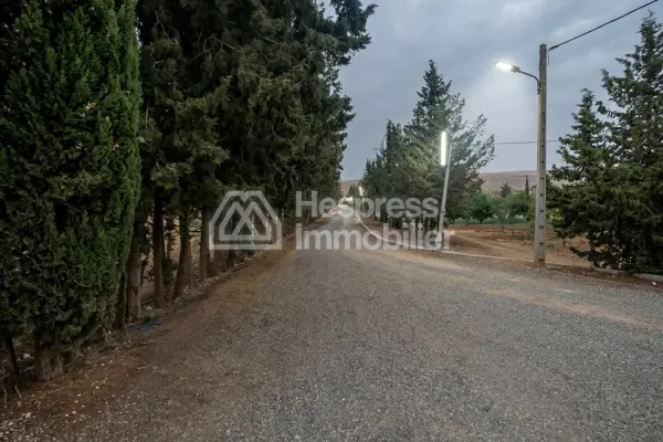 Farm for sale in Ouarzazate, 137 hectares, altitude 1700 m²