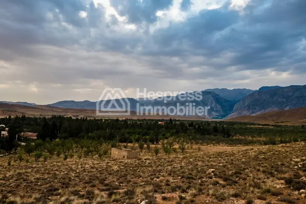 Farm for sale in Ouarzazate, 137 hectares, altitude 1700 m²