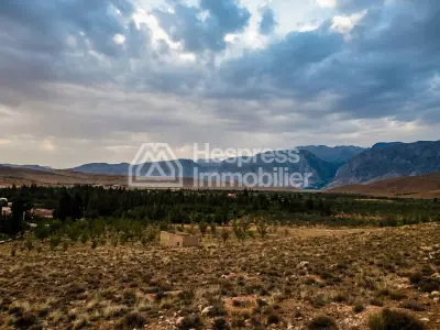 Farm for sale in Ouarzazate, 137 hectares, altitude 1700 m²