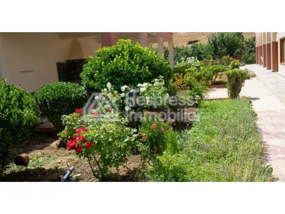 Farm for sale in Ouarzazate, 137 hectares, altitude 1700 m²