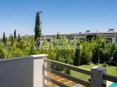 Apartment rental in Palmeraie