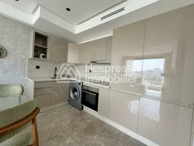 Superb new studio apartment for rent
