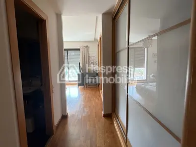 Penthouse à louer avec terrasse et vue sur le parc dans le quartier Palmier