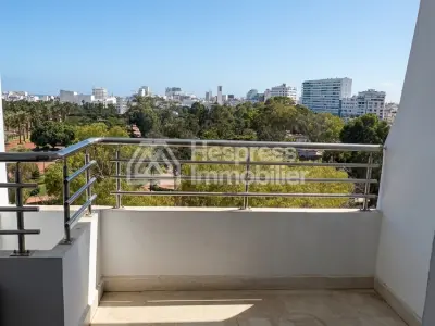 Penthouse à louer avec terrasse et vue sur le parc dans le quartier Palmier