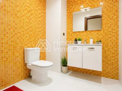 Appartement meublé de standing à louer