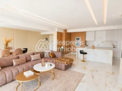 Luxury apartment for rent