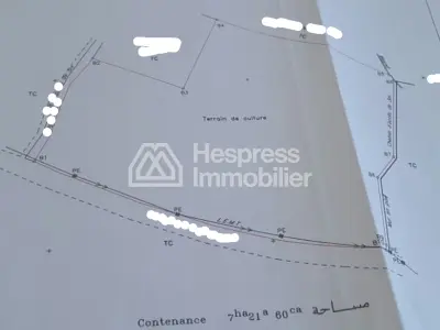 🌾 فرصة استثمارية: أرض مساحتها 7 هكتارات مسجلة للبيع - طريق أغافاي 🗺️