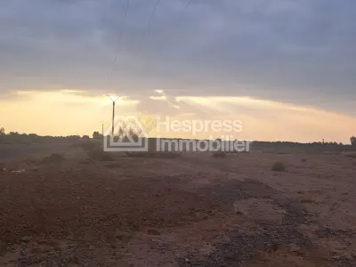 🌾 فرصة استثمارية: أرض مساحتها 7 هكتارات مسجلة للبيع - طريق أغافاي 🗺️