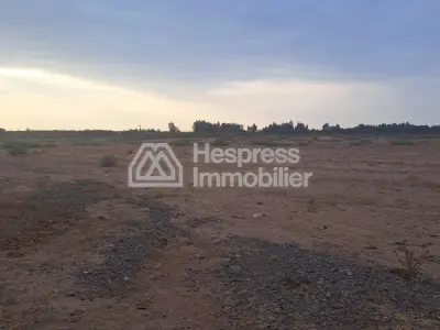 🌾 فرصة استثمارية: أرض مساحتها 7 هكتارات مسجلة للبيع - طريق أغافاي 🗺️