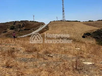 Terrain Titré I Fardioua Route Ksar Sghir