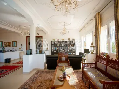 Luxurious Villa in Mnar CAS26610