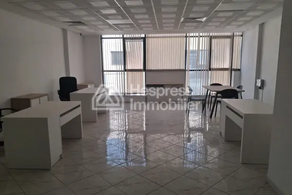 Professional office