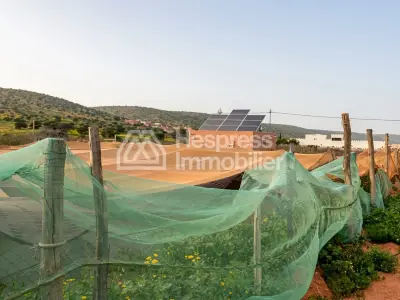 Charming agricultural estate near Tiznit