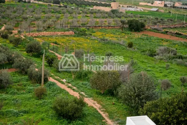 عقار زراعي ساحر بالقرب من تيزنيت
