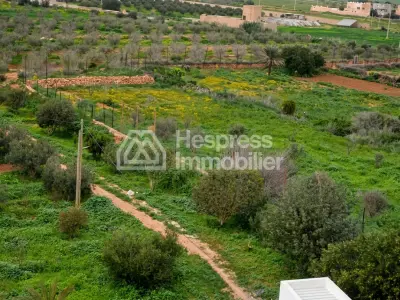 Charming agricultural estate near Tiznit