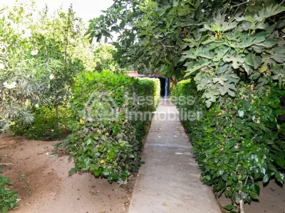 Country house Sidi Bibi
