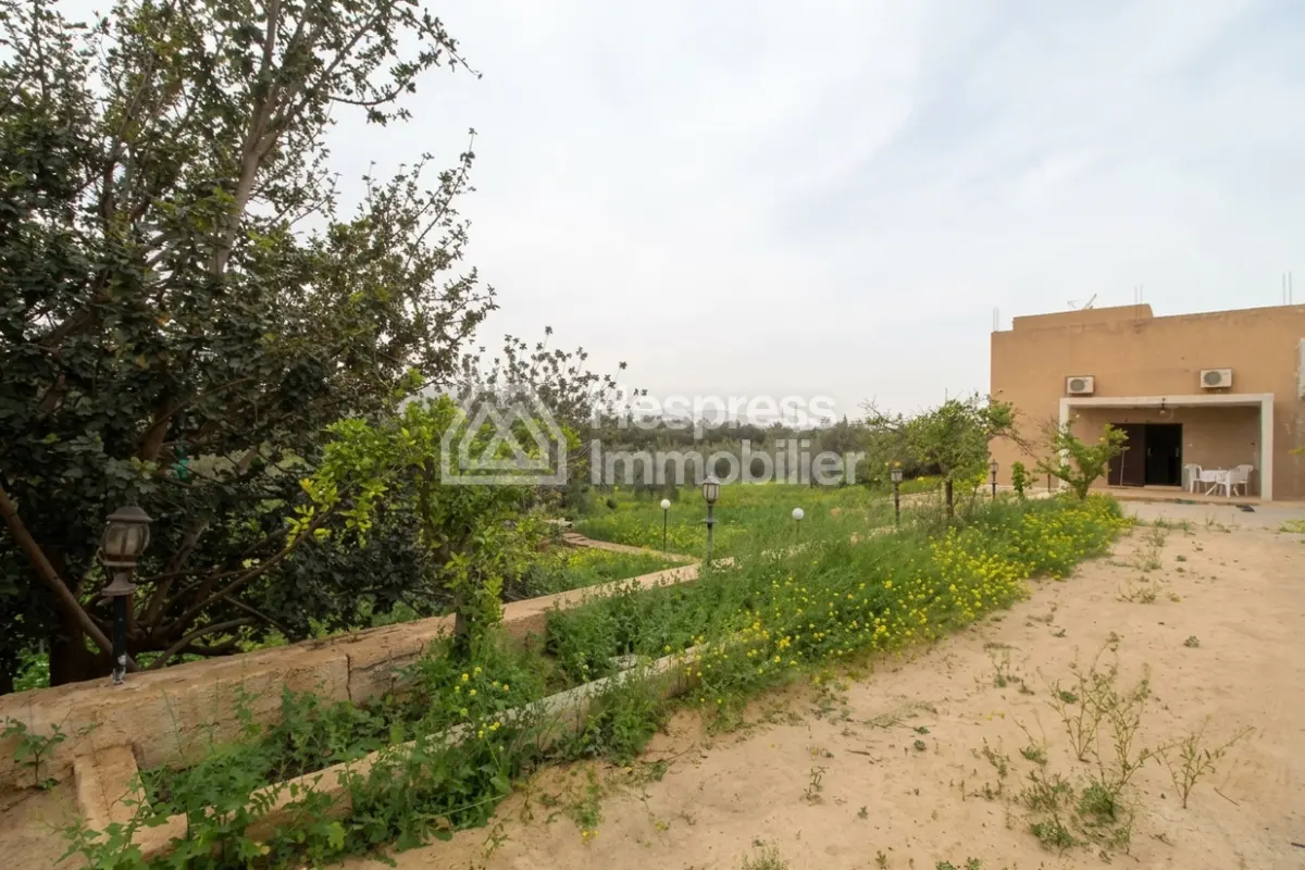 Property with house and wooded grounds