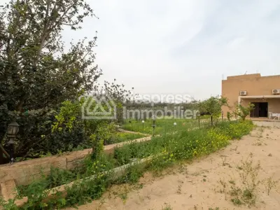 Property with house and wooded grounds